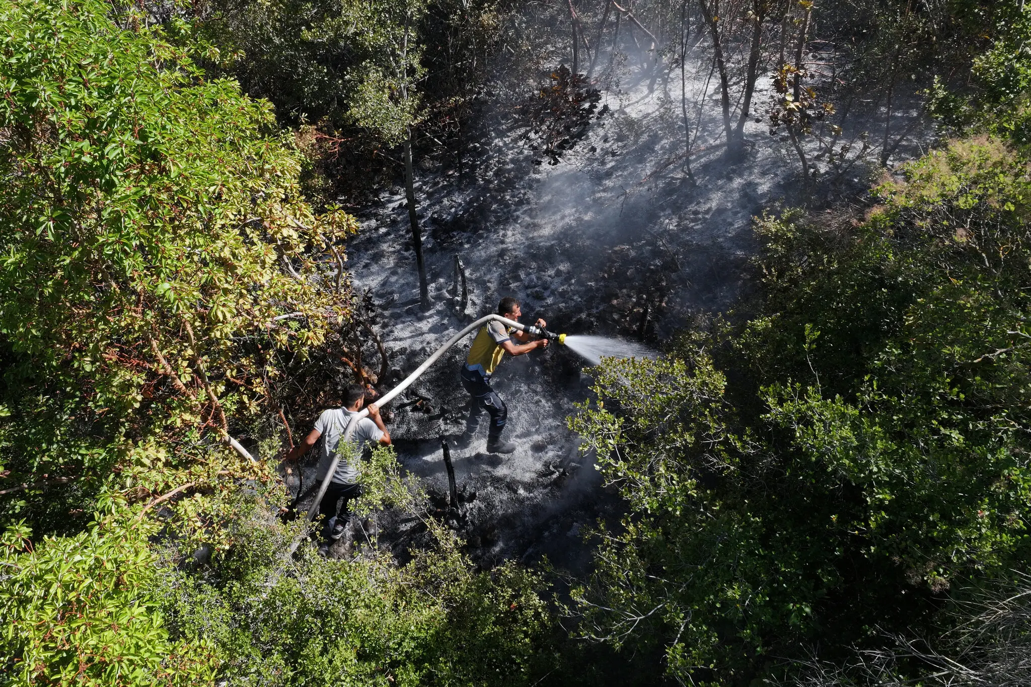 Лісові пожежі в Сирії: обстріли мін і посуха посилюють кризу на узбережжі